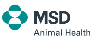 MSD